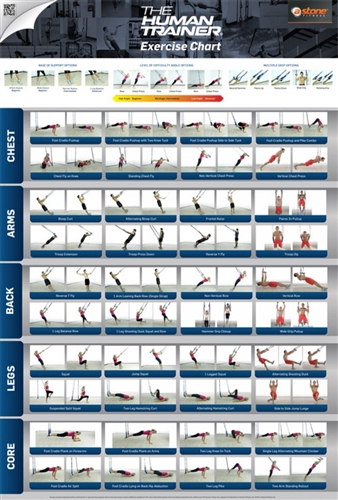 Trx Exercise Chart Download