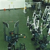 ProGym, Rubber Gym Floor Full Color Professional Quality